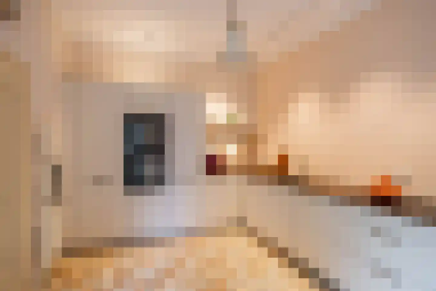 Brink 21 Gieten thumbnail 23