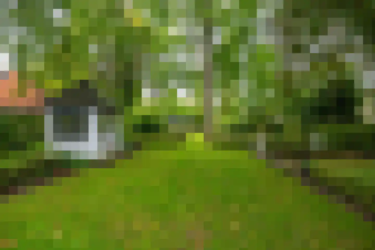 Brink 21 Gieten foto 3