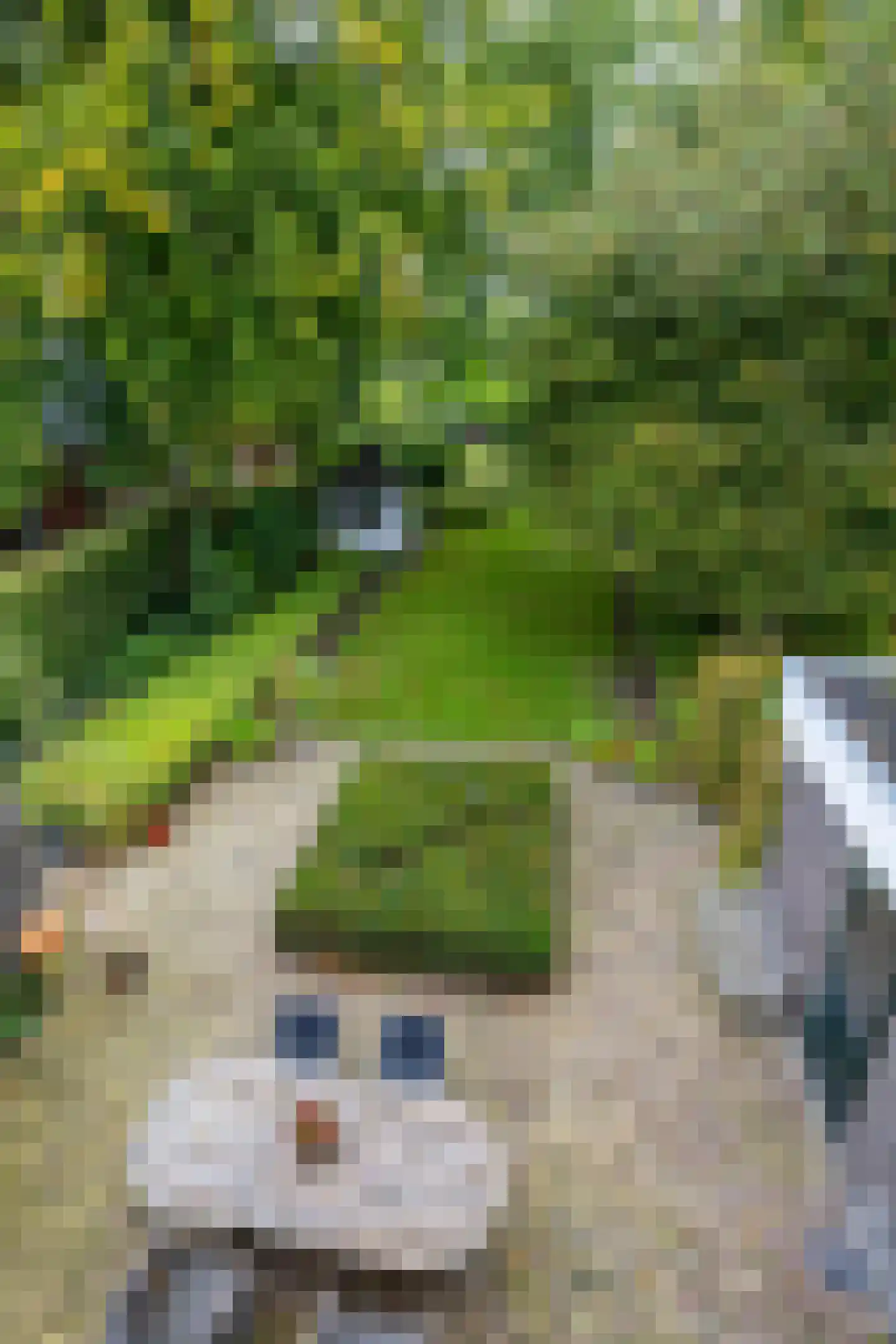 Brink 21 Gieten thumbnail 34