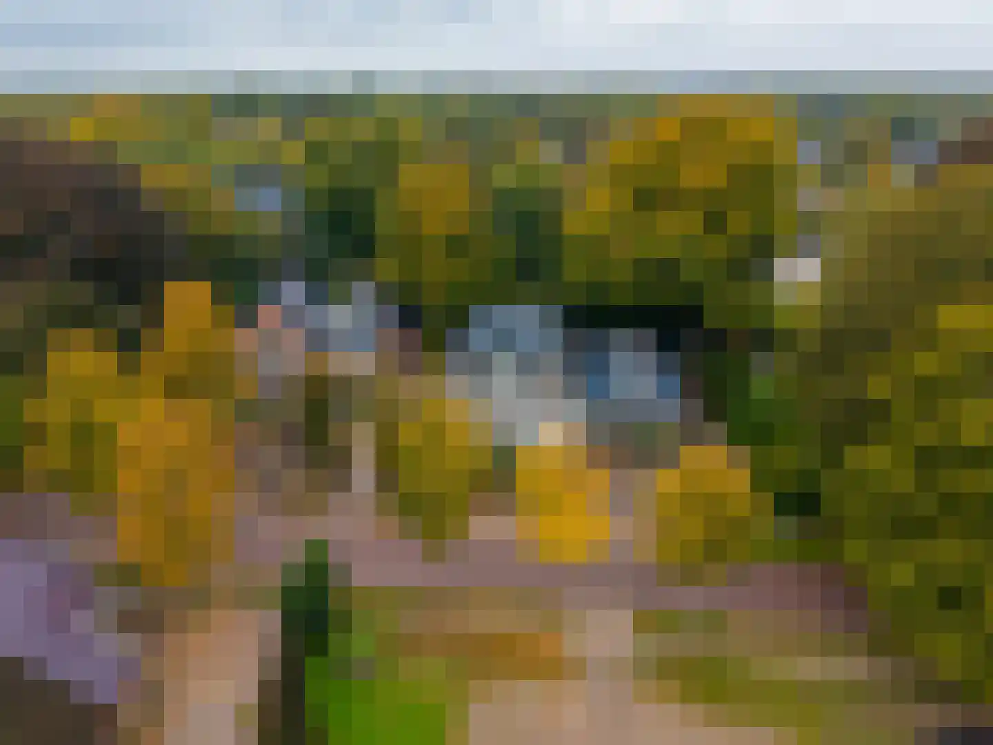 Brink 21 Gieten thumbnail 4