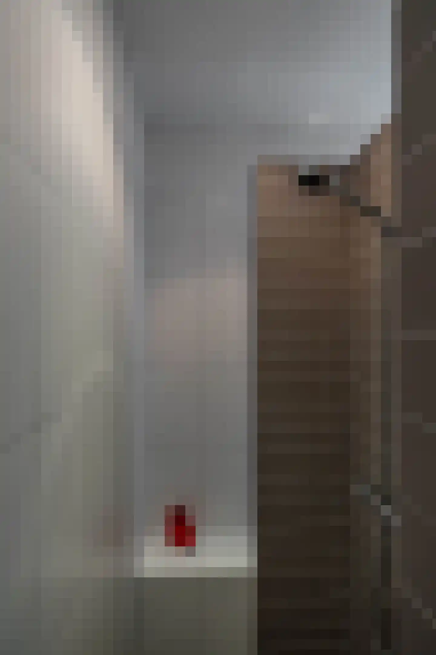 Brink 21 Gieten thumbnail 44