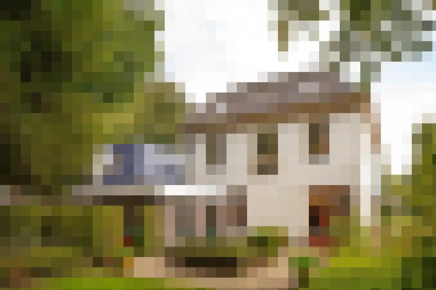 Brink 21 Gieten thumbnail 67