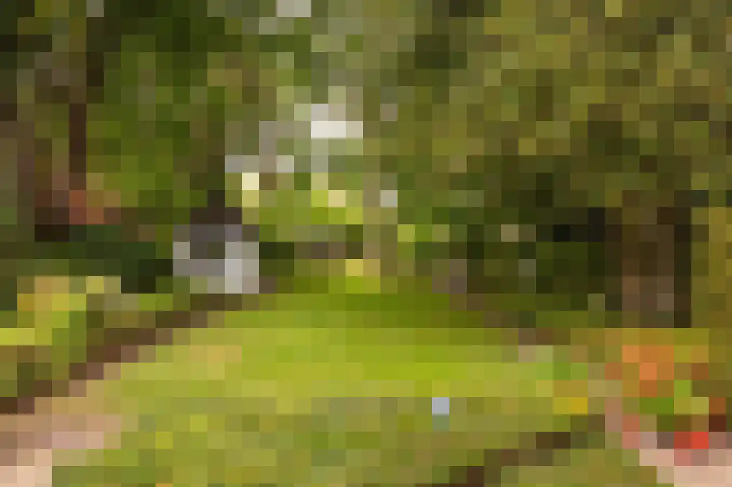 Brink 21 Gieten thumbnail 70