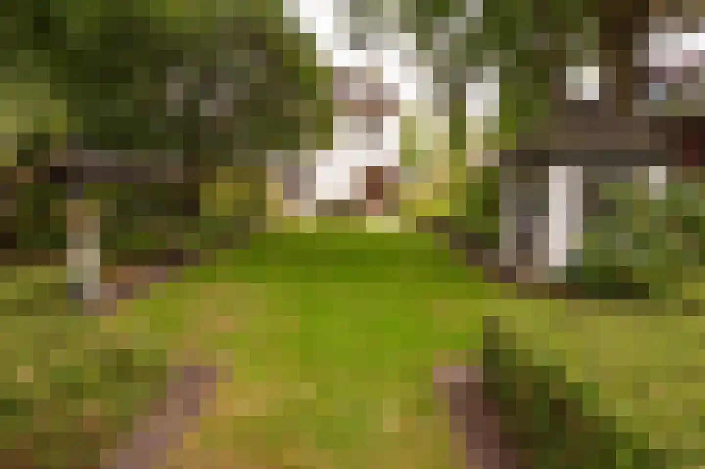 Brink 21 Gieten thumbnail 71