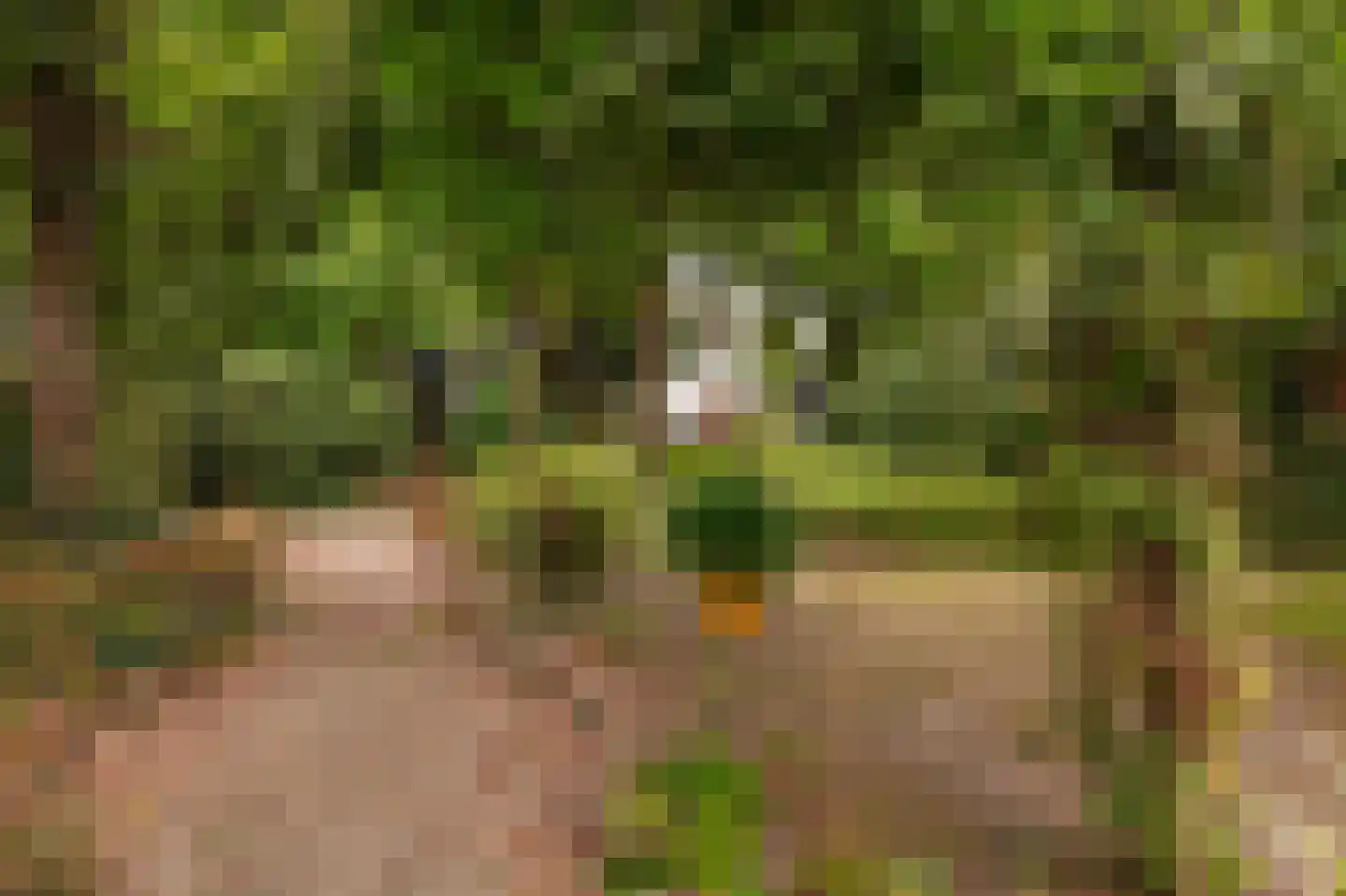 Brink 21 Gieten thumbnail 72
