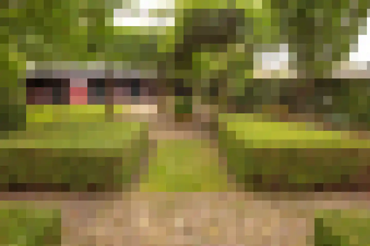 Brink 21 Gieten thumbnail 73