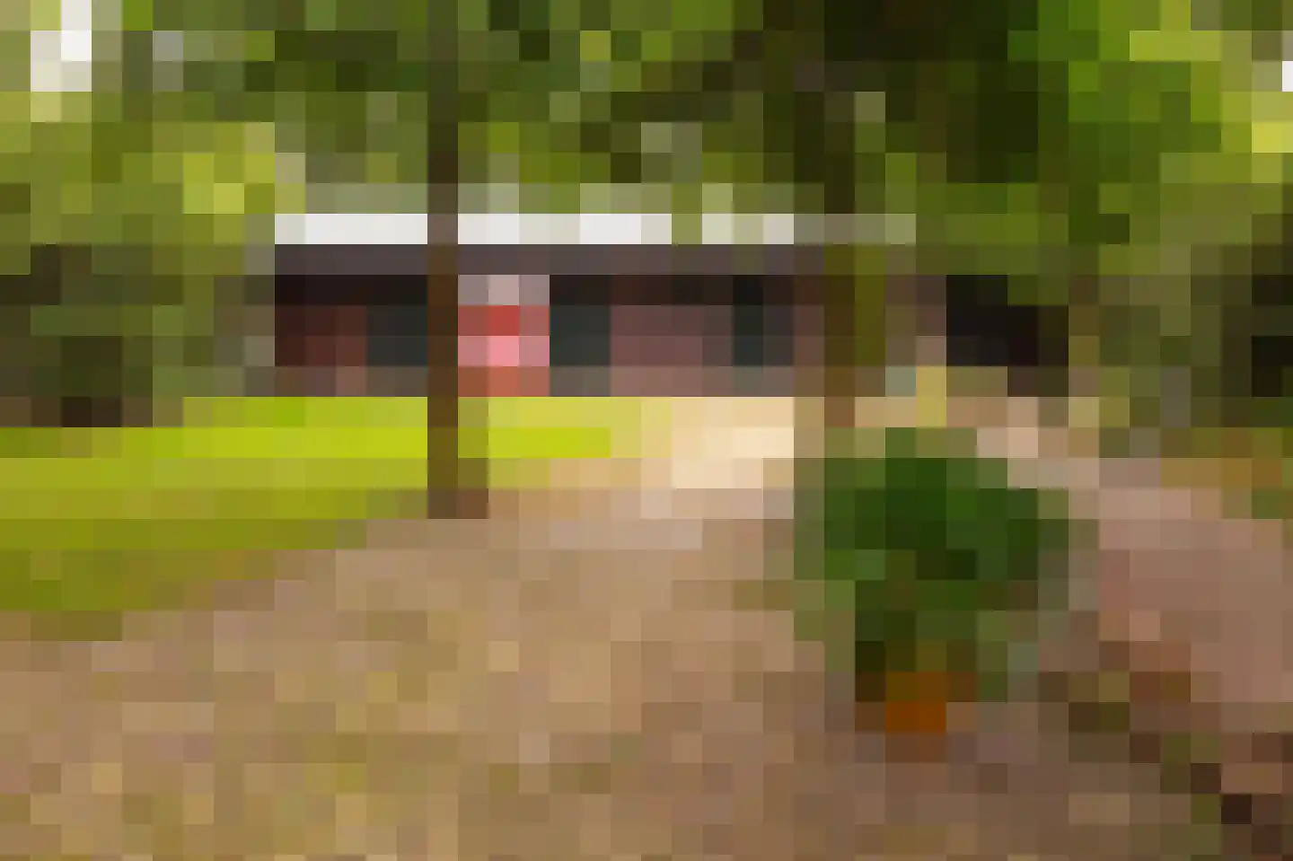 Brink 21 Gieten thumbnail 74