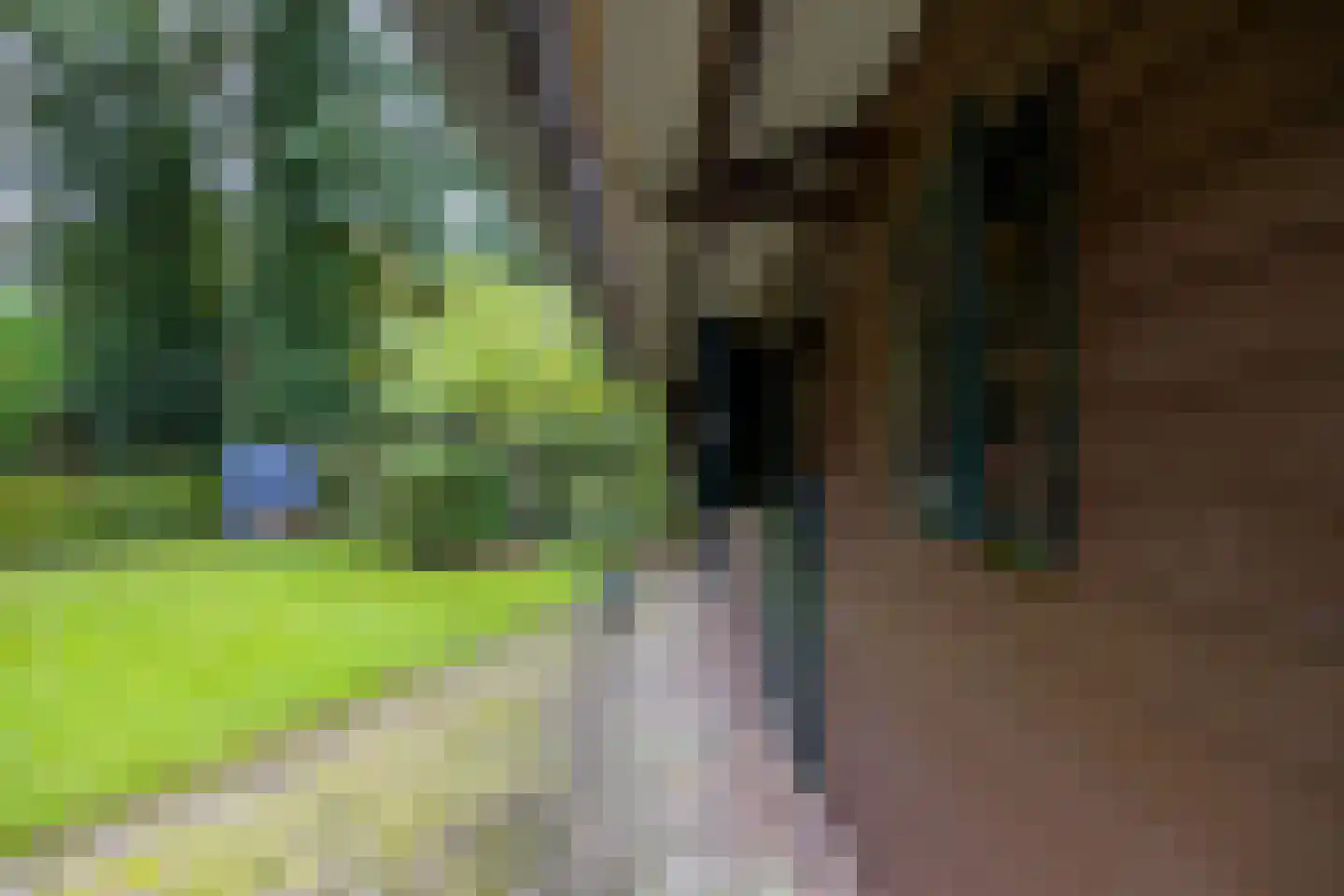 Brink 21 Gieten thumbnail 76