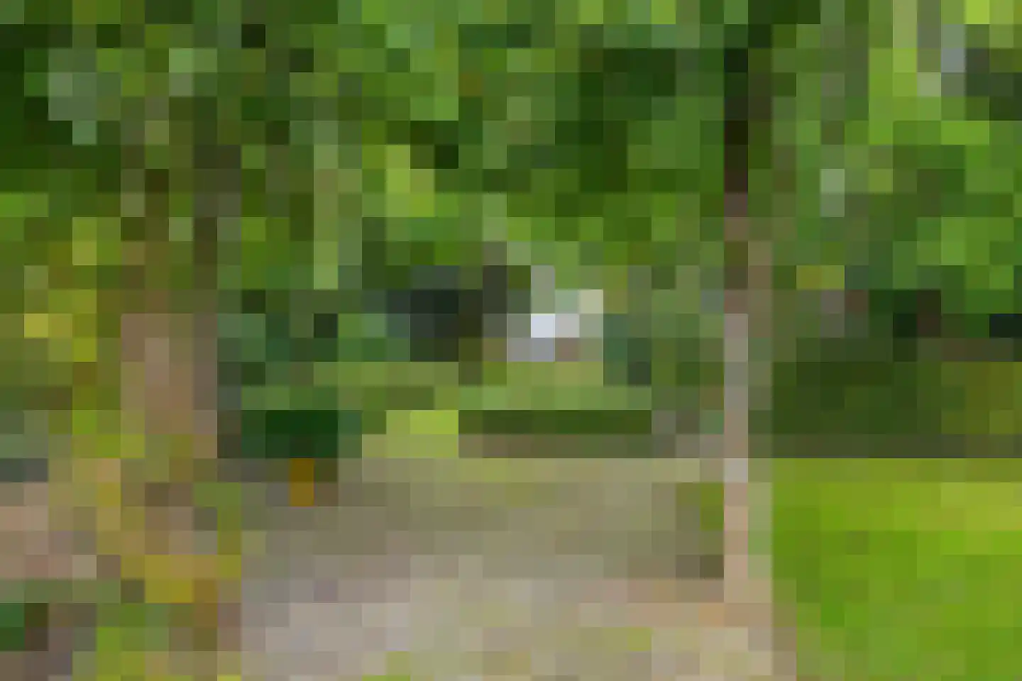 Brink 21 Gieten thumbnail 79