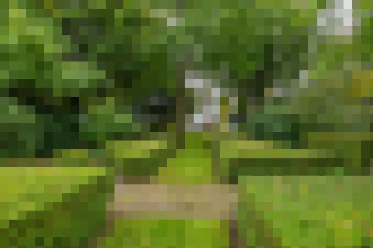 Brink 21 Gieten thumbnail 80