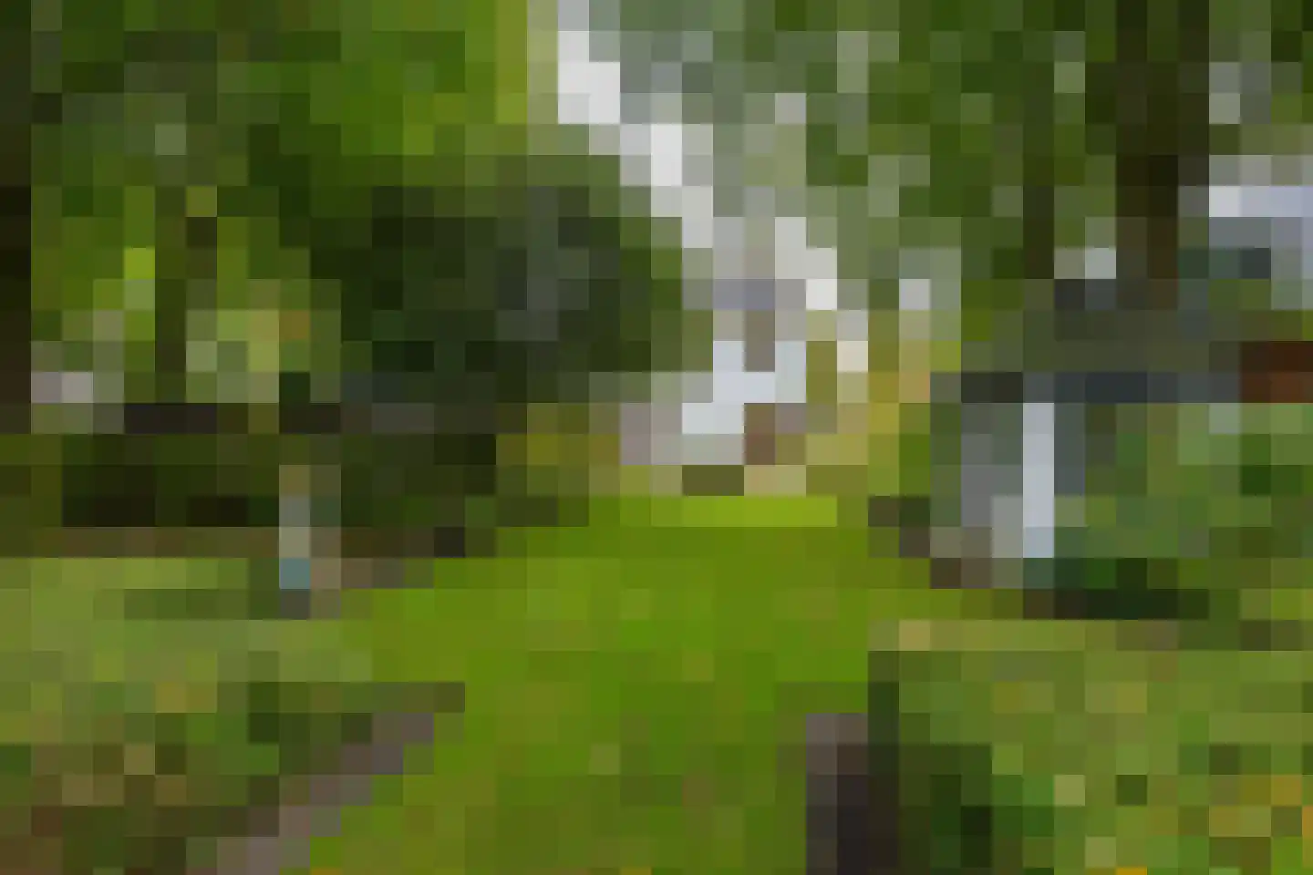 Brink 21 Gieten thumbnail 81