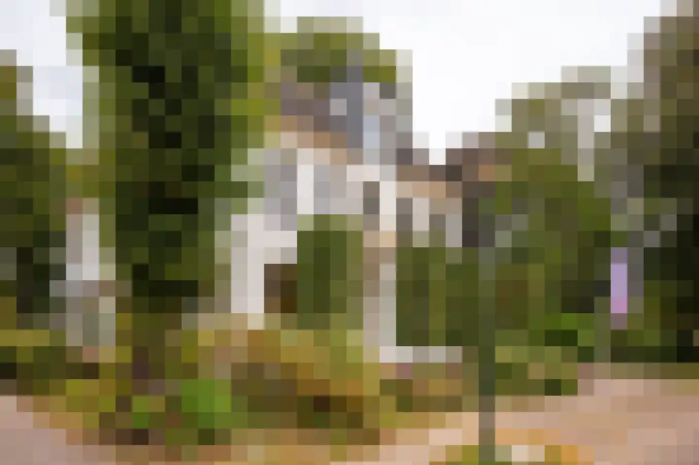 Brink 21 Gieten thumbnail 84
