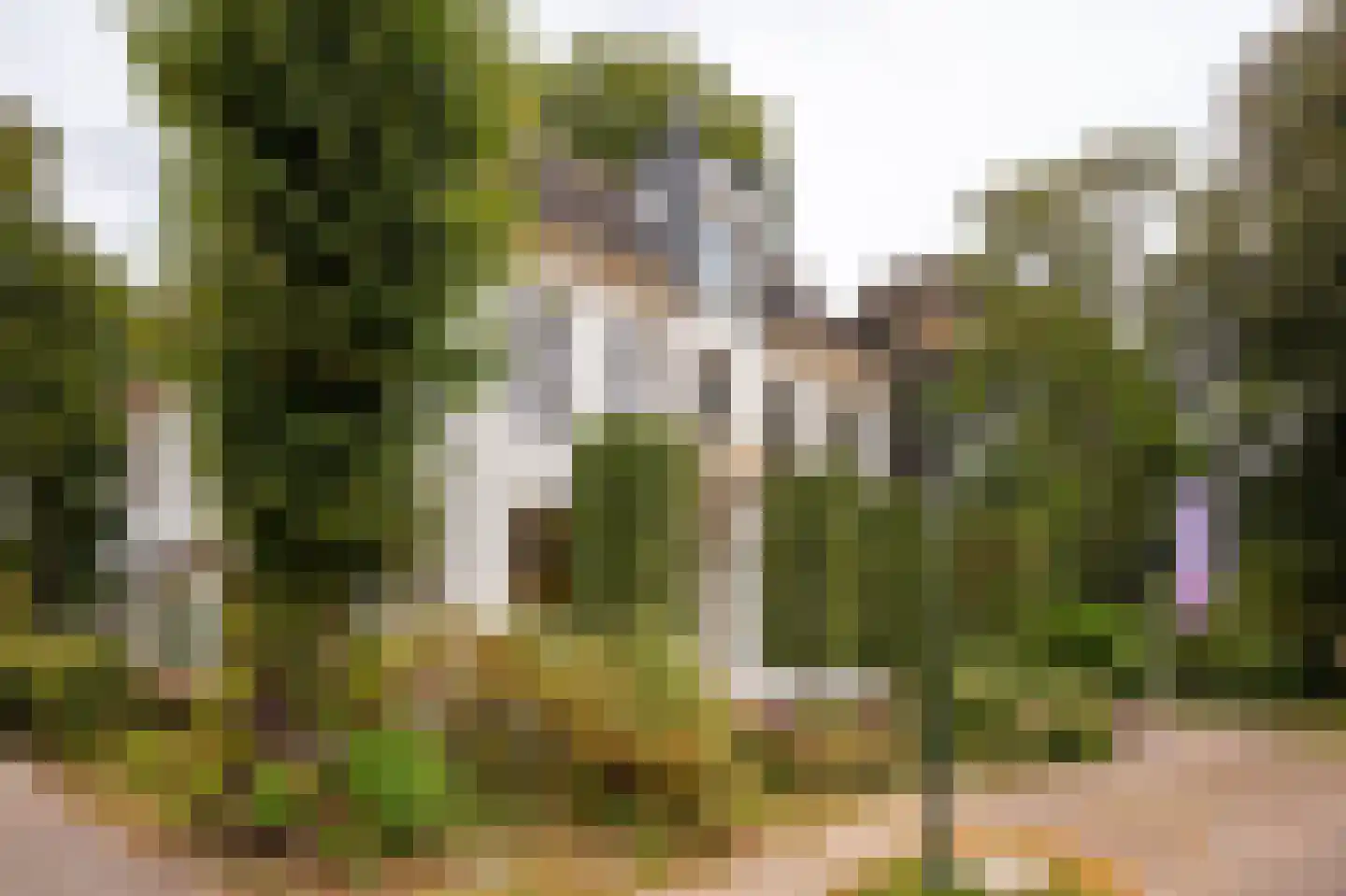 Brink 21 Gieten thumbnail 86