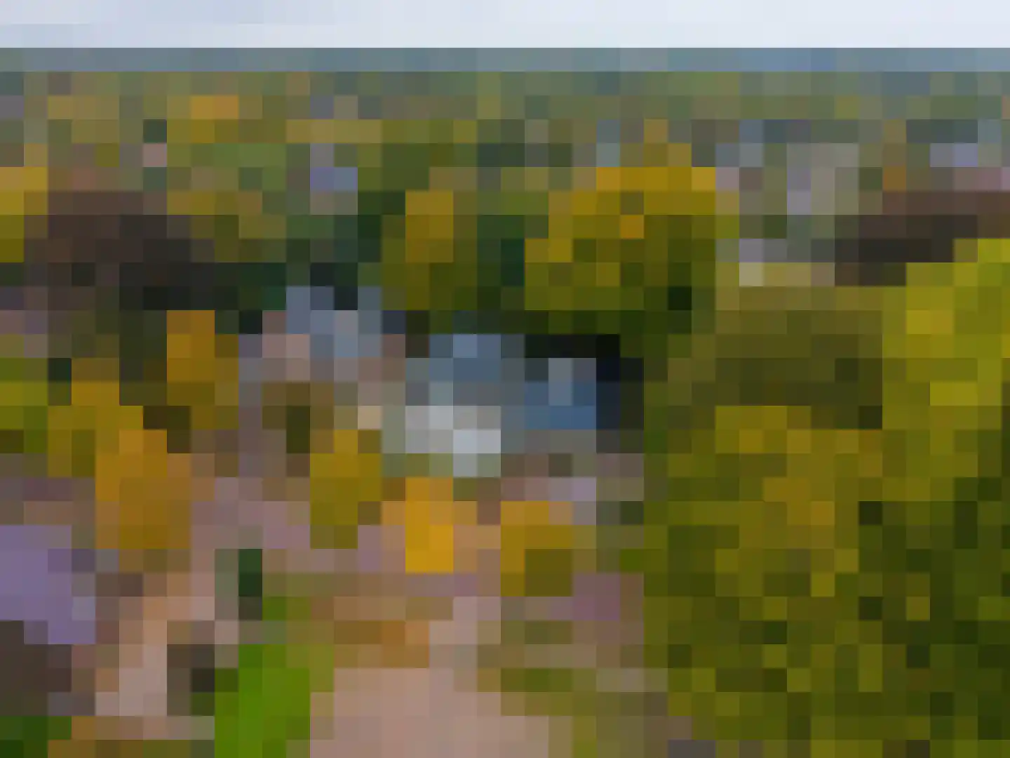 Brink 21 Gieten thumbnail 89