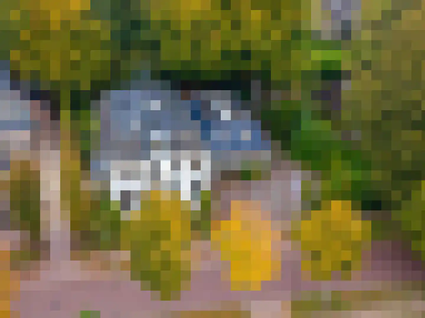 Brink 21 Gieten thumbnail 91