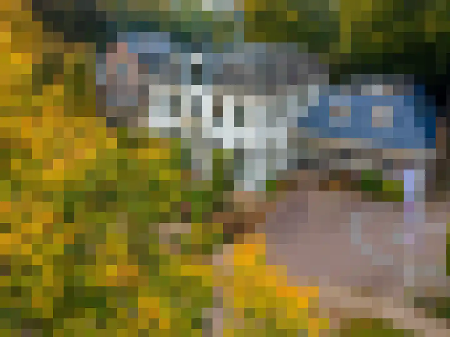 Brink 21 Gieten thumbnail 93