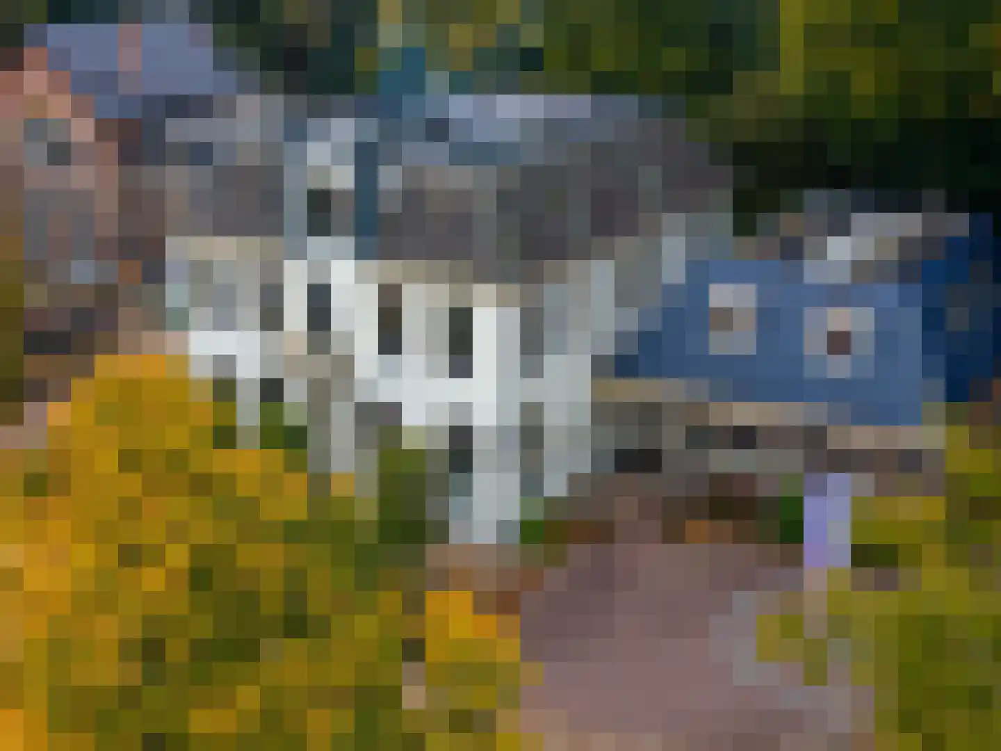 Brink 21 Gieten thumbnail 94