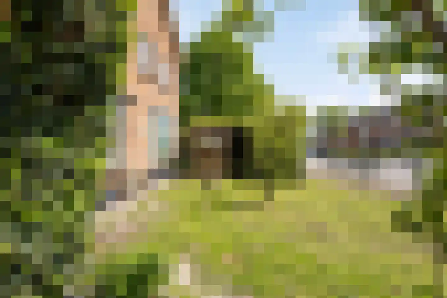 Brink 21 Giethoorn thumbnail 21
