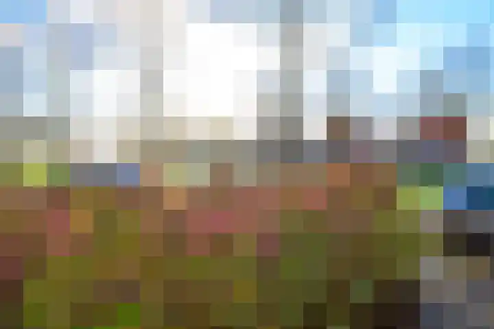 Brink 23 Slootdorp thumbnail 34