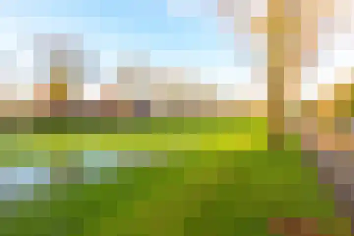 Brink 23 Slootdorp thumbnail 36