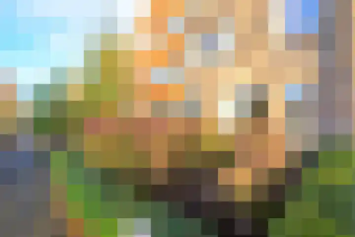 Brink 23 Slootdorp thumbnail 38