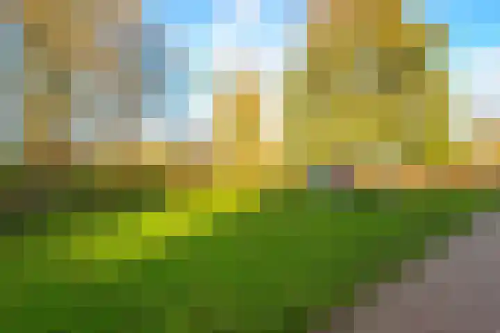 Brink 23 Slootdorp thumbnail 39