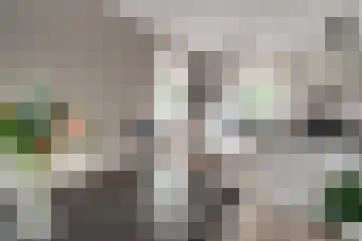 Brink 24 Wijchen thumbnail 12