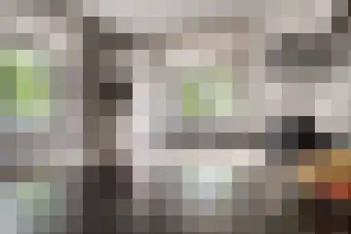 Brink 24 Wijchen thumbnail 15