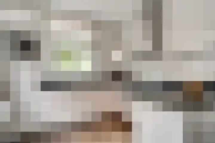 Brink 24 Wijchen thumbnail 16