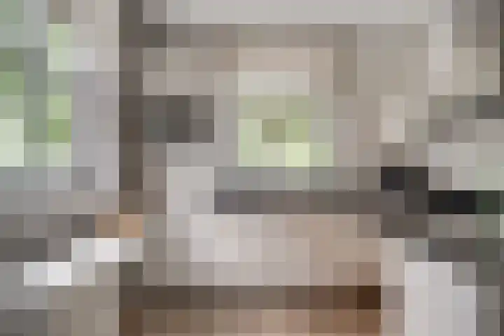 Brink 24 Wijchen thumbnail 17