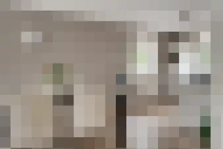 Brink 24 Wijchen thumbnail 18