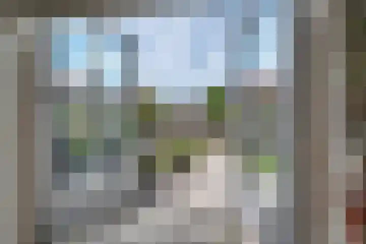 Brink 24 Wijchen thumbnail 20