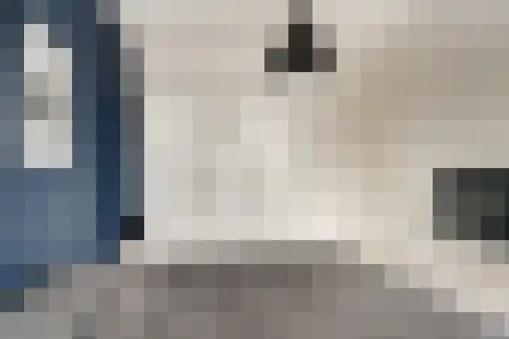 Brink 24 Wijchen thumbnail 25