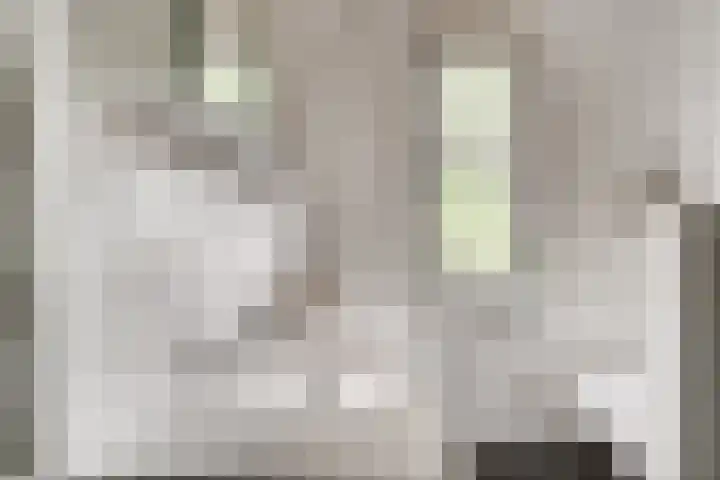 Brink 24 Wijchen thumbnail 27