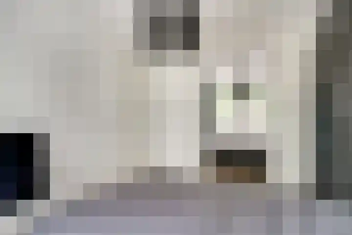 Brink 24 Wijchen thumbnail 32