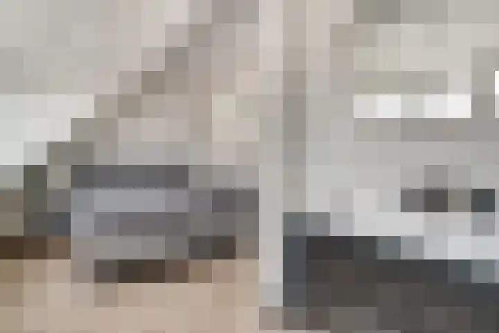 Brink 24 Wijchen thumbnail 37