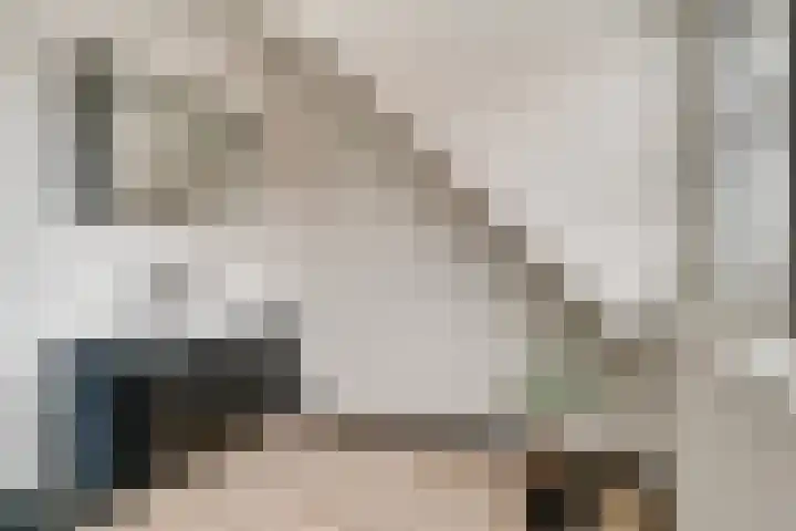 Brink 24 Wijchen thumbnail 38