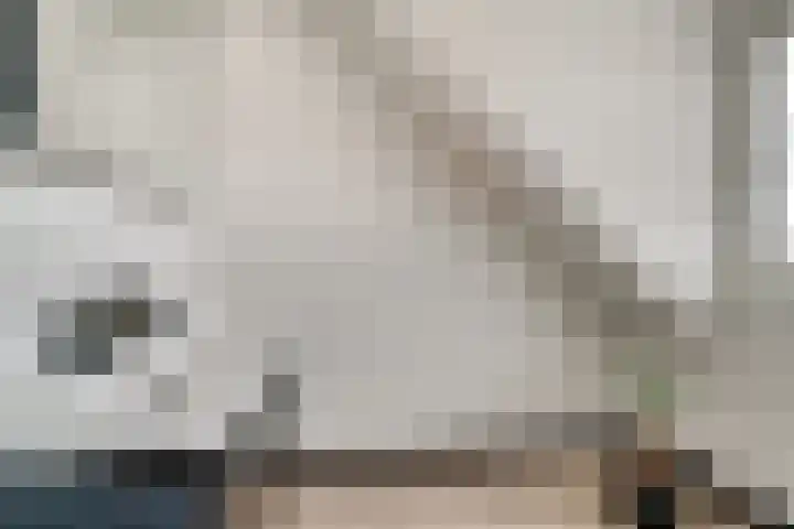 Brink 24 Wijchen thumbnail 39