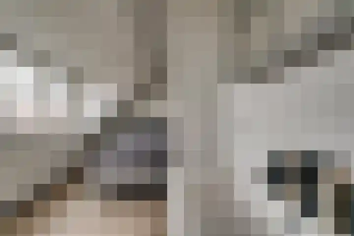 Brink 24 Wijchen thumbnail 40