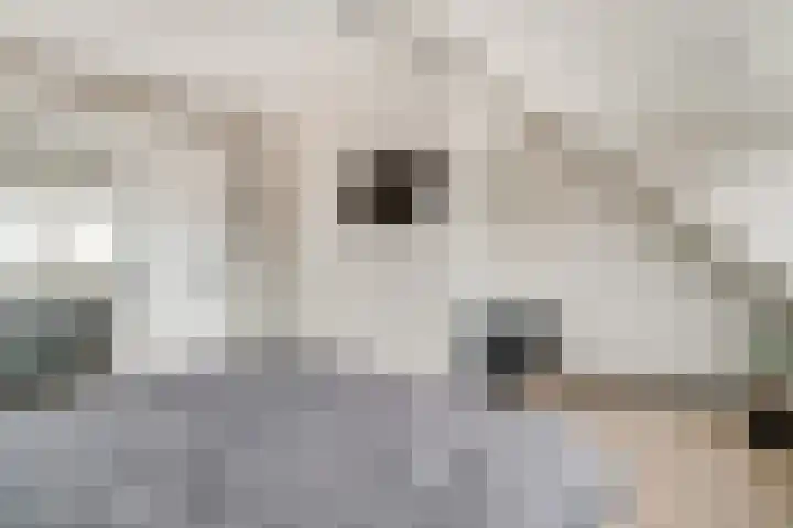 Brink 24 Wijchen thumbnail 41