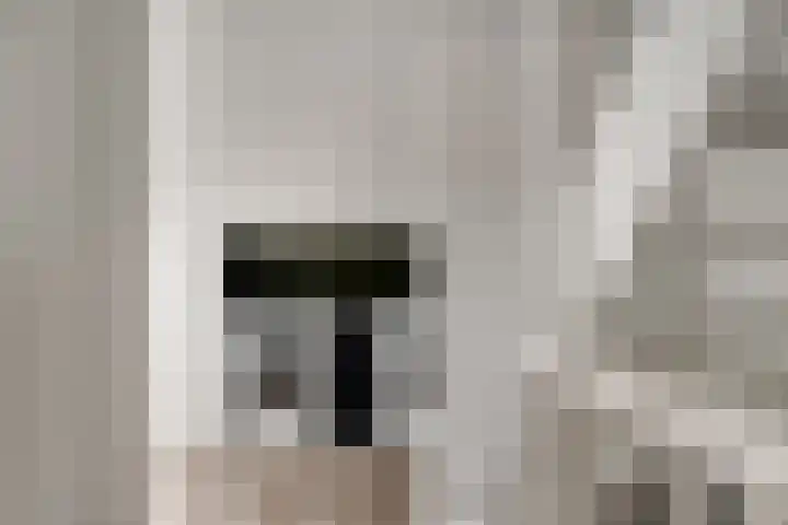 Brink 24 Wijchen thumbnail 42