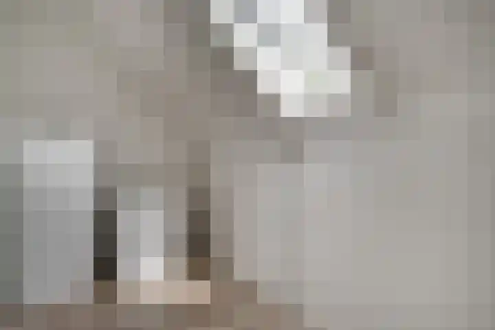 Brink 24 Wijchen thumbnail 43