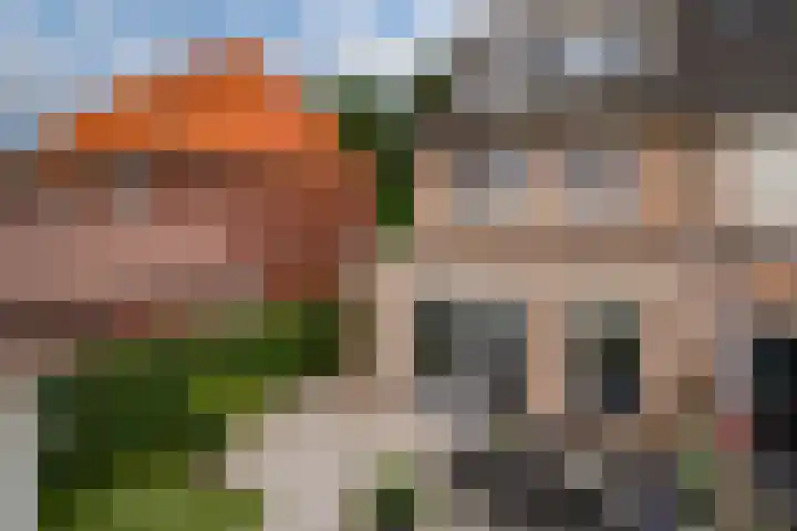 Brink 24 Wijchen thumbnail 46