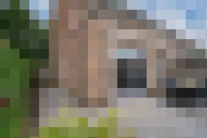 Brink 24 Wijchen thumbnail 47