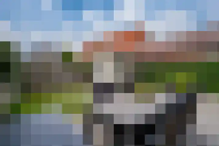 Brink 24 Wijchen thumbnail 50