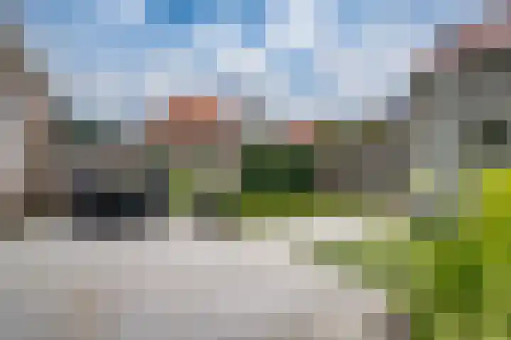 Brink 24 Wijchen thumbnail 52