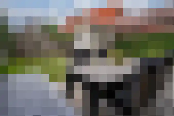 Brink 24 Wijchen thumbnail 53