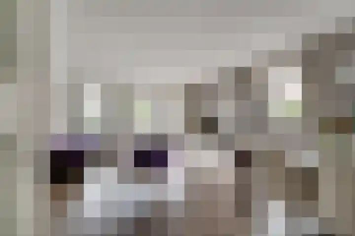 Brink 24 Wijchen thumbnail 6