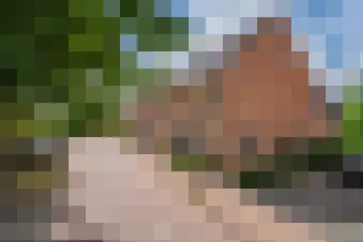 Brink 24 Wijchen thumbnail 60