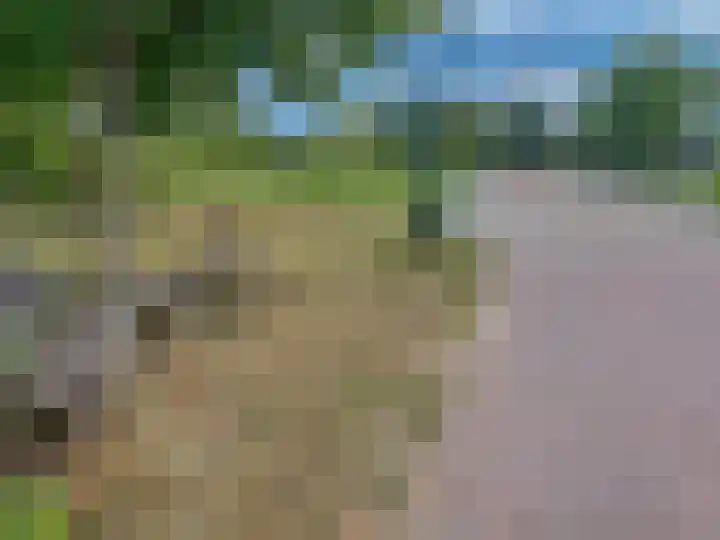 Brink 24 Wijchen thumbnail 62